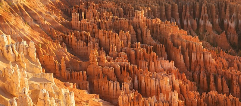 Whimsical Terrains